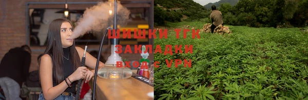 jwh Аркадак