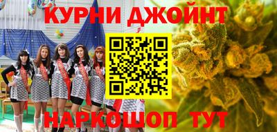 тгк Новозыбков