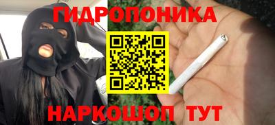 гидропоника Обнинск