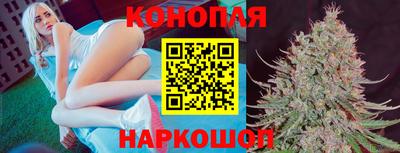 ECSTASY Новодвинск