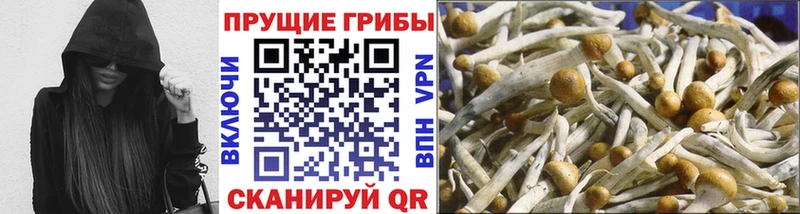 Галлюциногенные грибы MAGIC MUSHROOMS  Сатка 